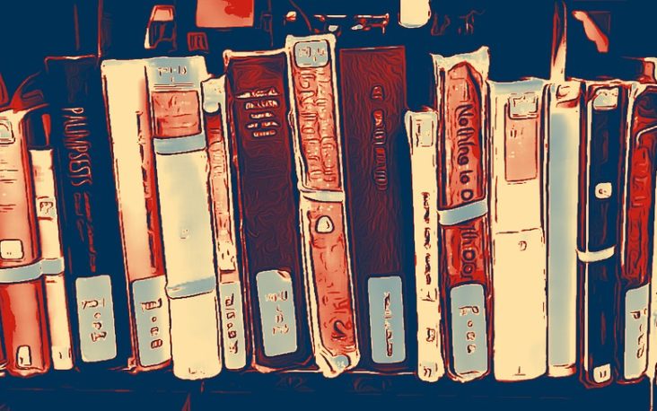 Секс, гендер и феминизм: лучшие книги 2020